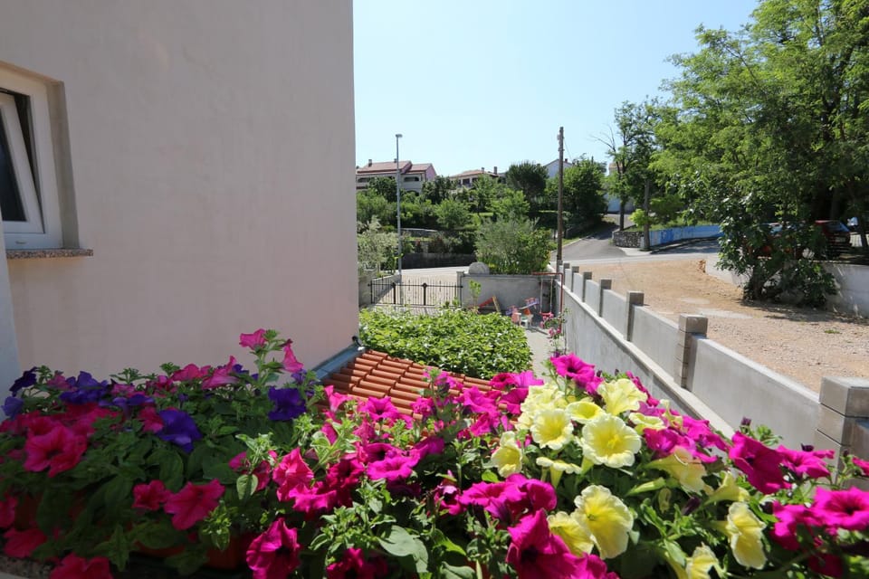 Garden, Garden, Street view