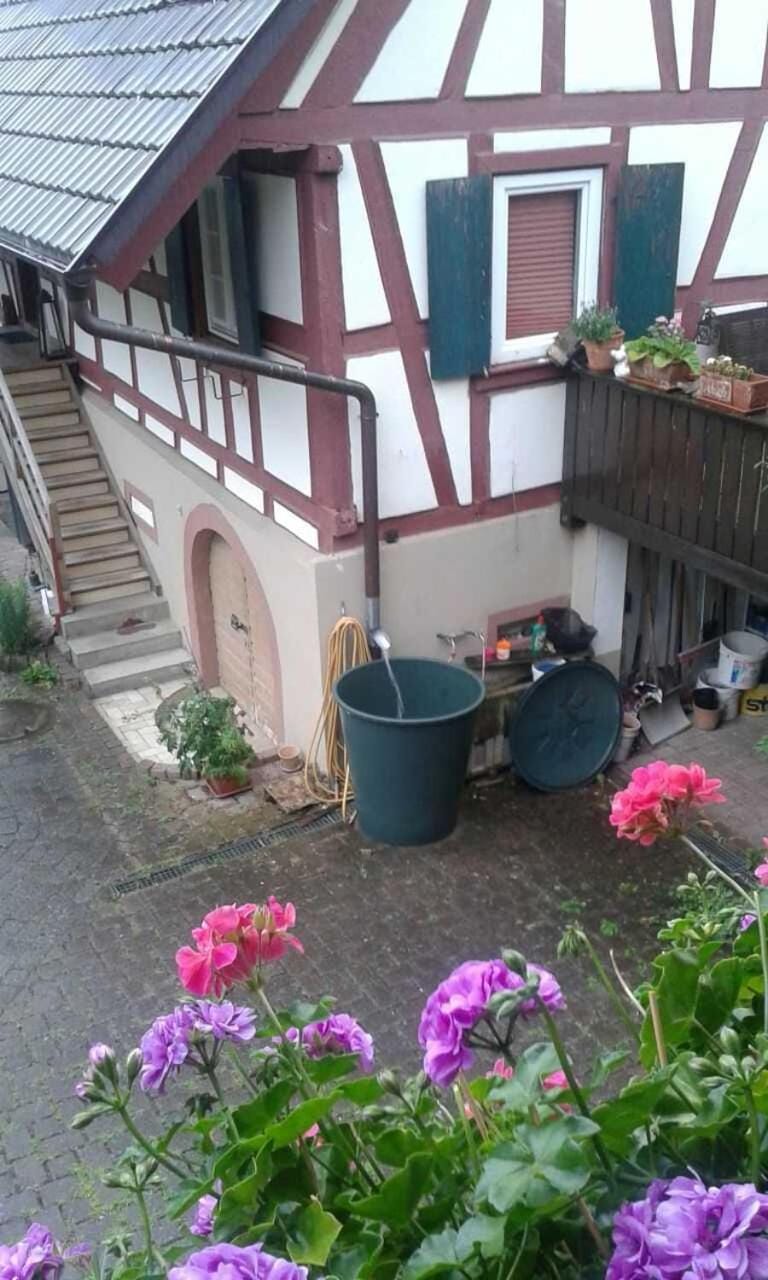 Galerie Ueber den Gaerten Apartment in Ortenau