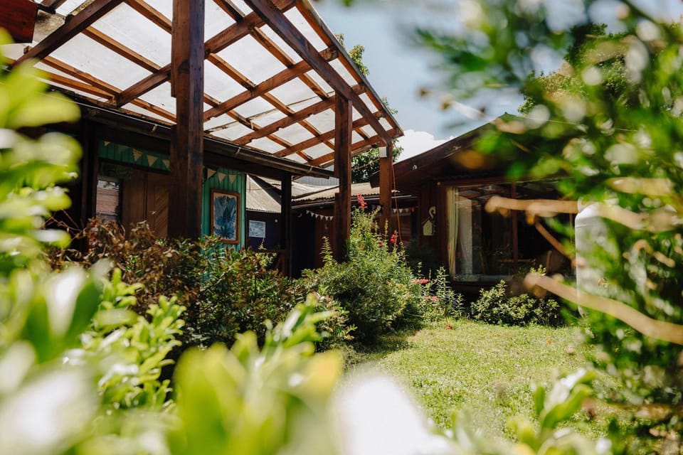 Patio, Natural landscape, Garden, Garden view, Inner courtyard view
