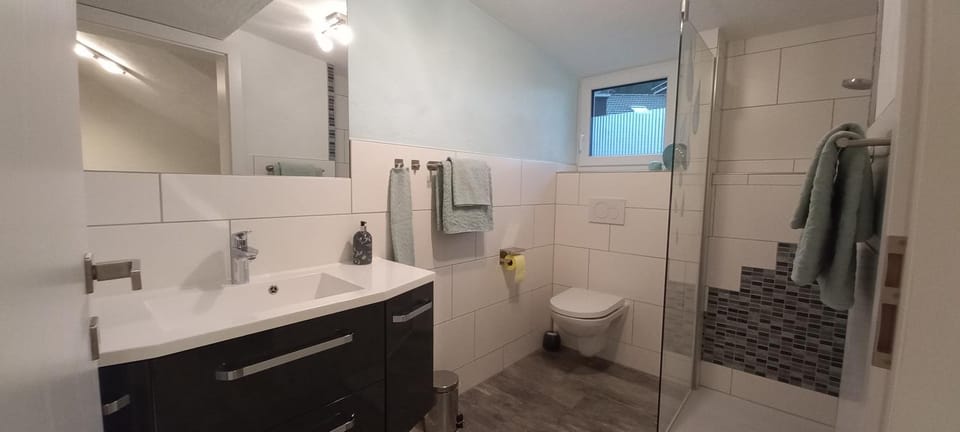 Shower, Toilet, towels