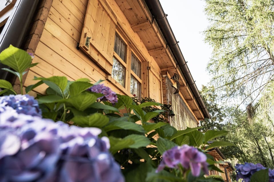 Property building, Day, Garden