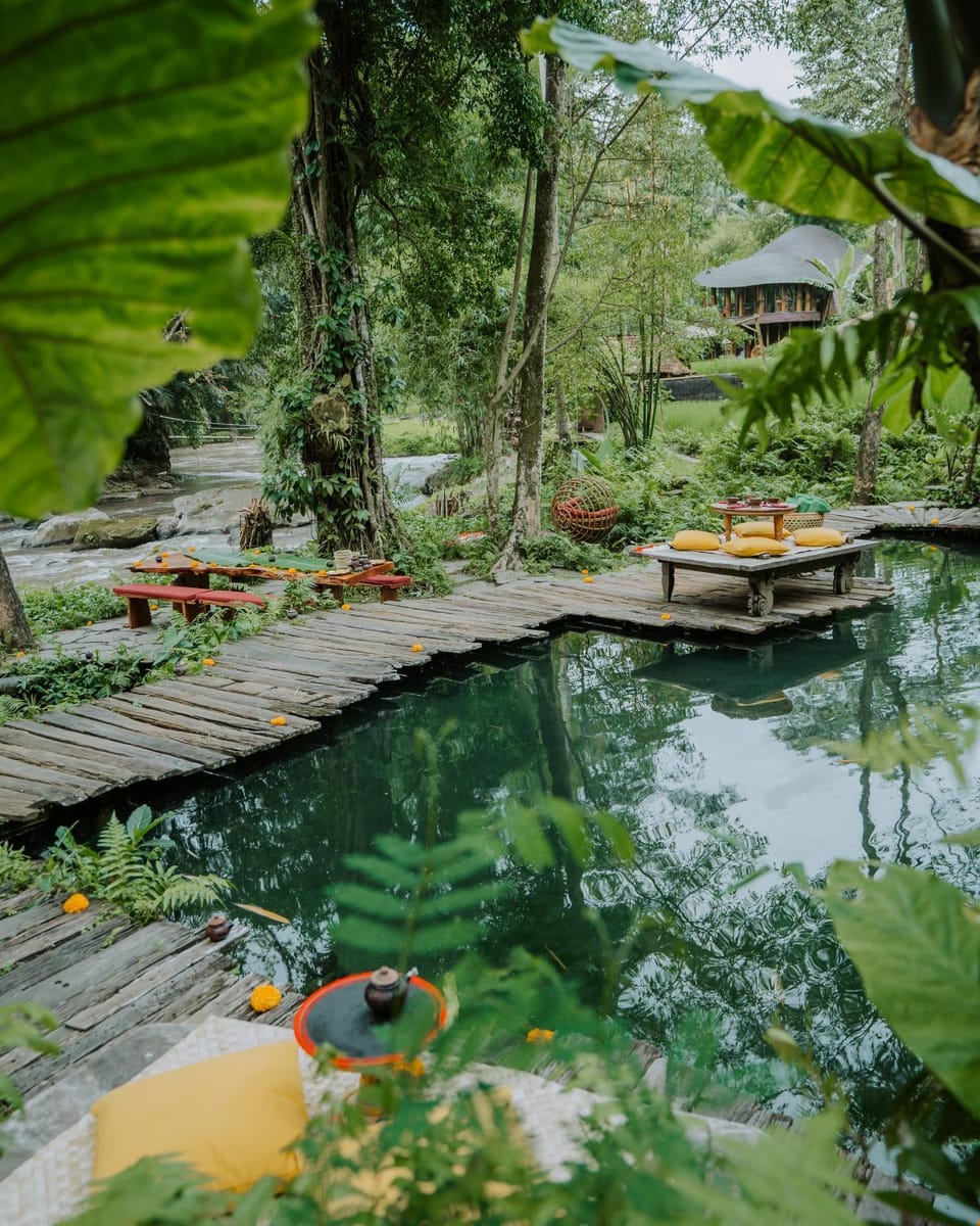 Natural landscape, Garden view, River view