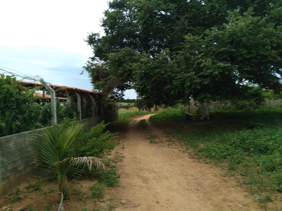 Natural landscape