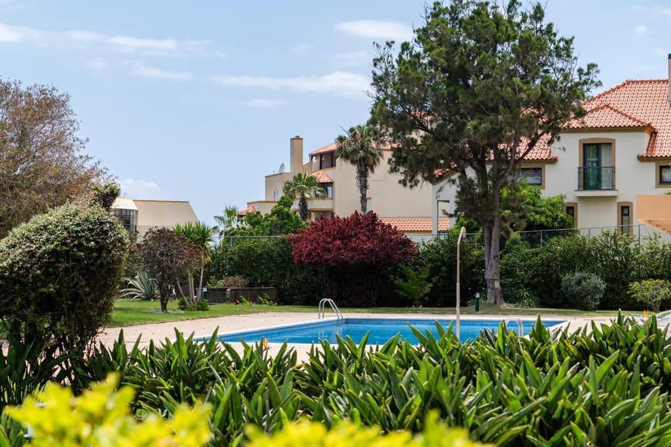 Day, Garden, Swimming pool