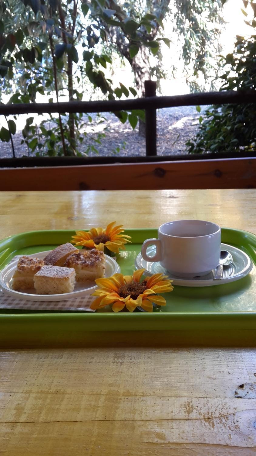 Le Giuncaine Farm Stay in Tuscany