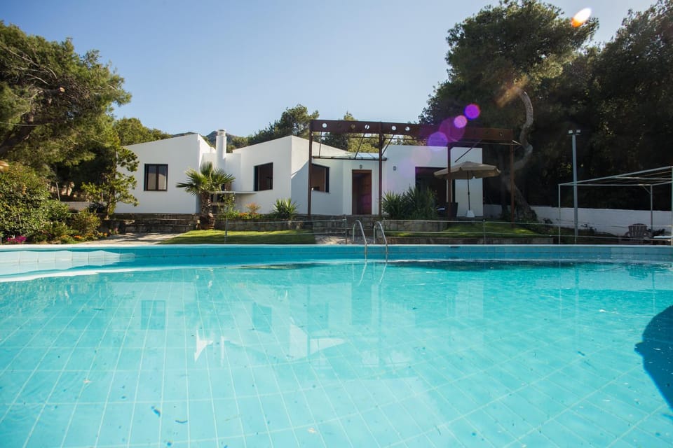 Property building, Pool view