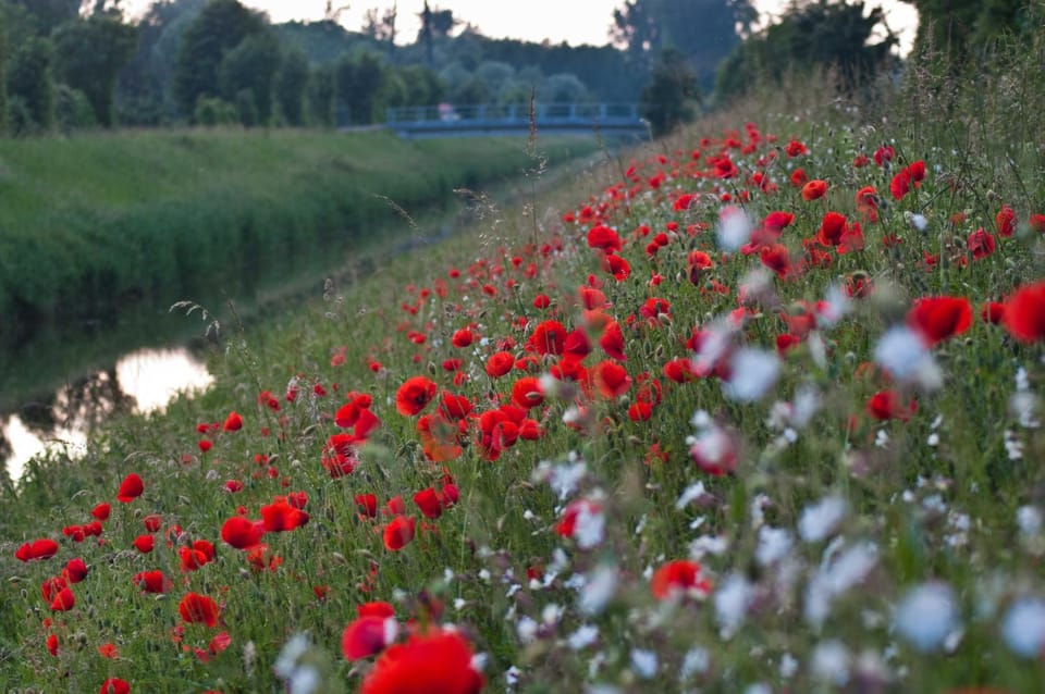 Natural landscape