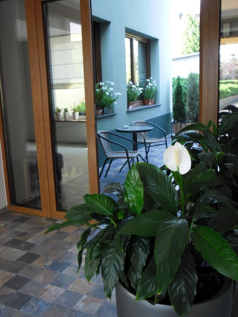 Patio, Day, Area and facilities