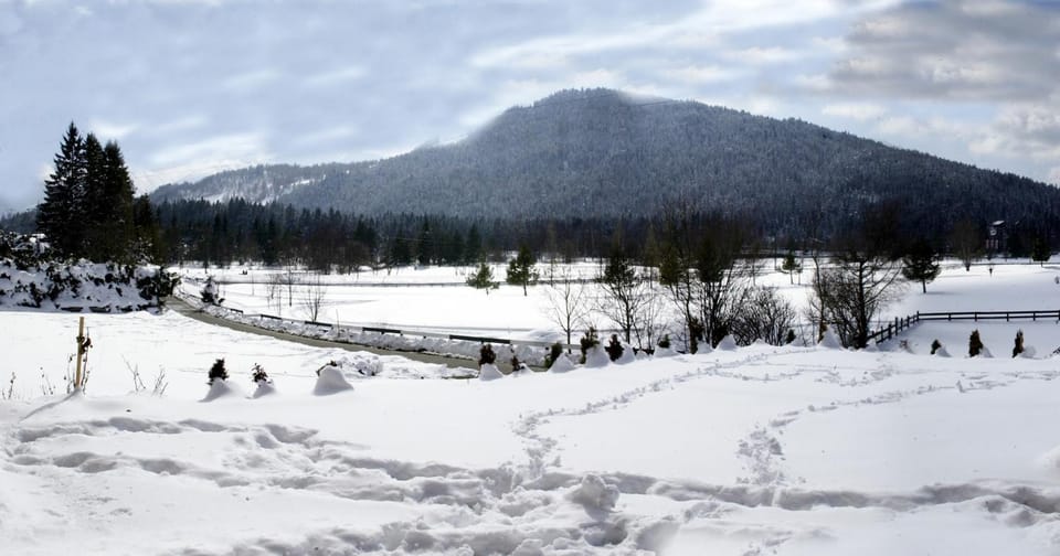 Natural landscape, Winter