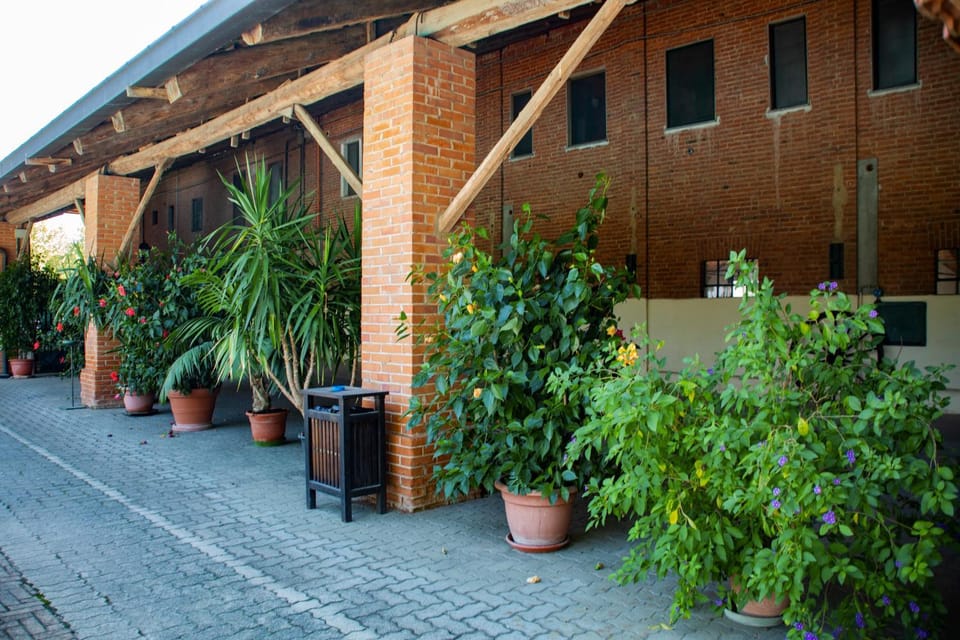 Agriturismo La Margherita Country House in Piedmont