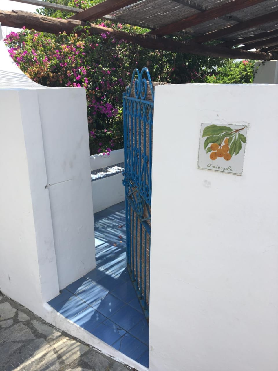 Villa in Panarea - Nespolo Apartment in Italy