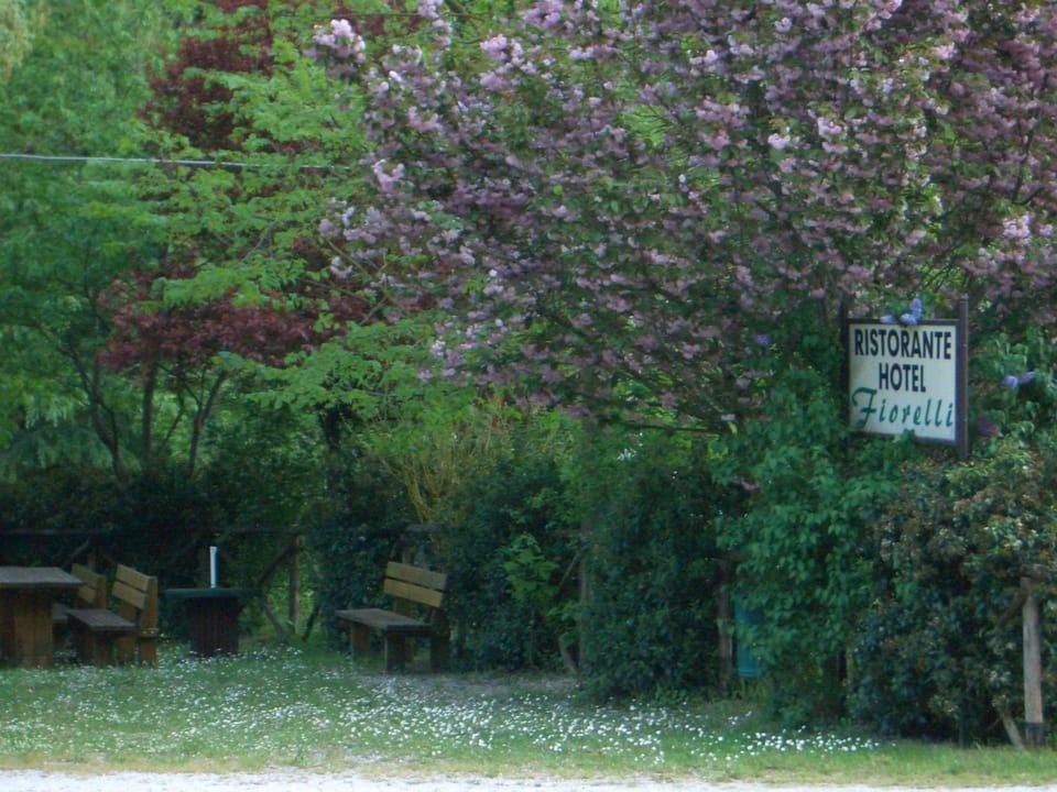Children play ground