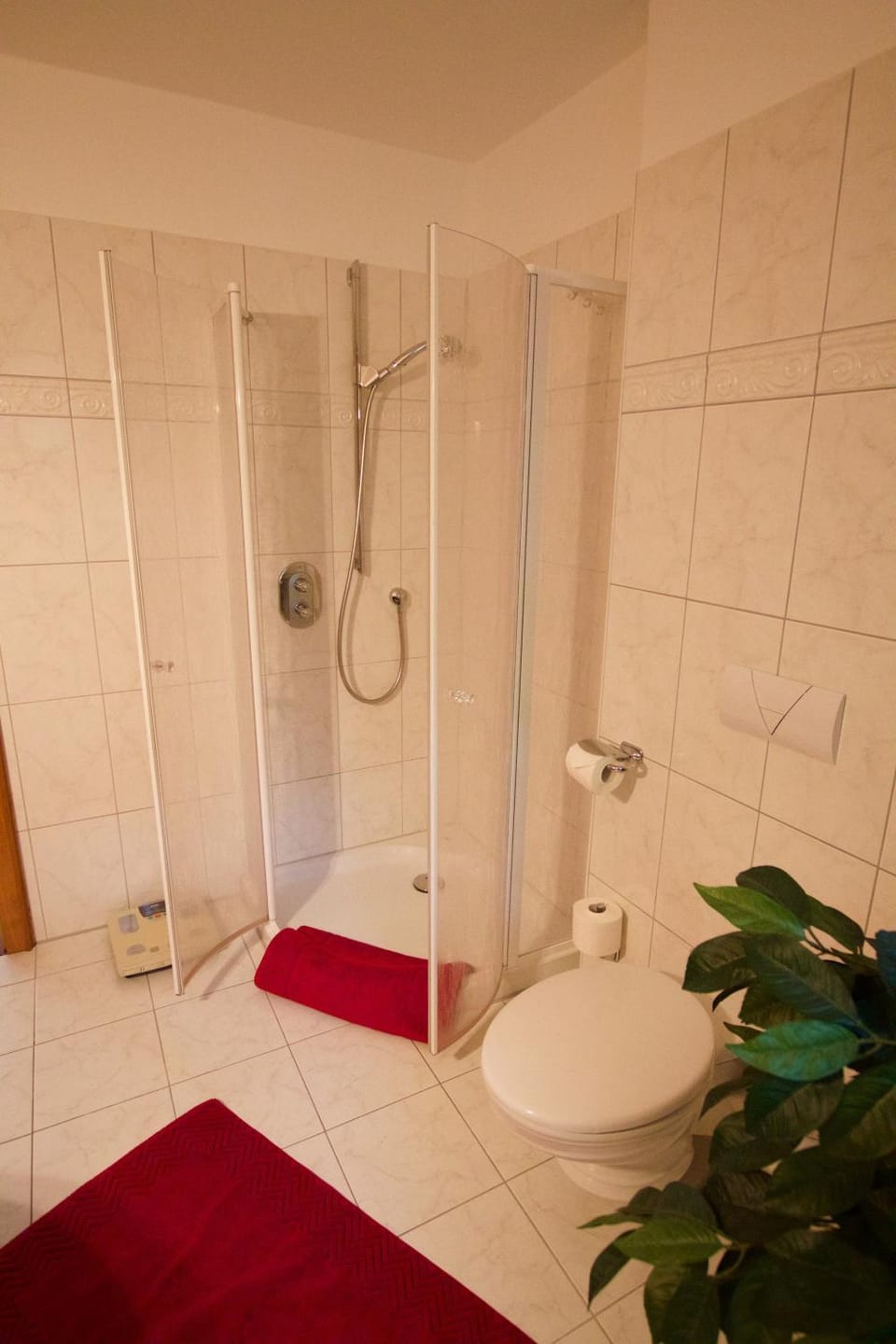 Shower, Toilet, Bathroom