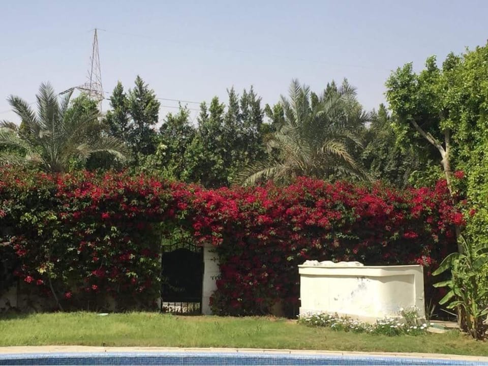 Villa 27A Villa in Egypt