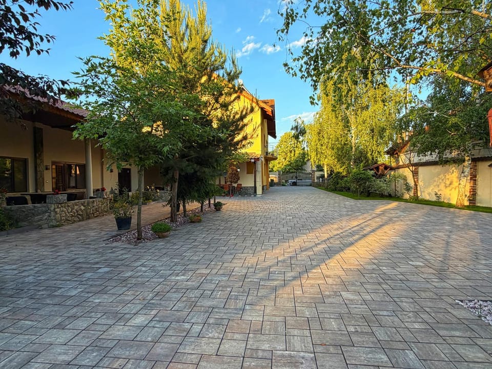 Pensiunea Ramona Bed and Breakfast in Romania