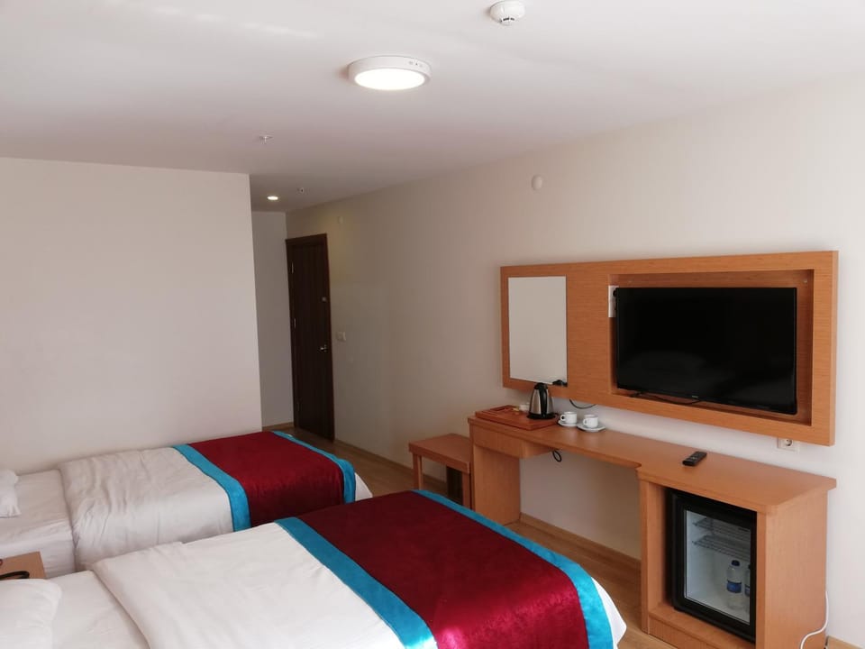 TV and multimedia