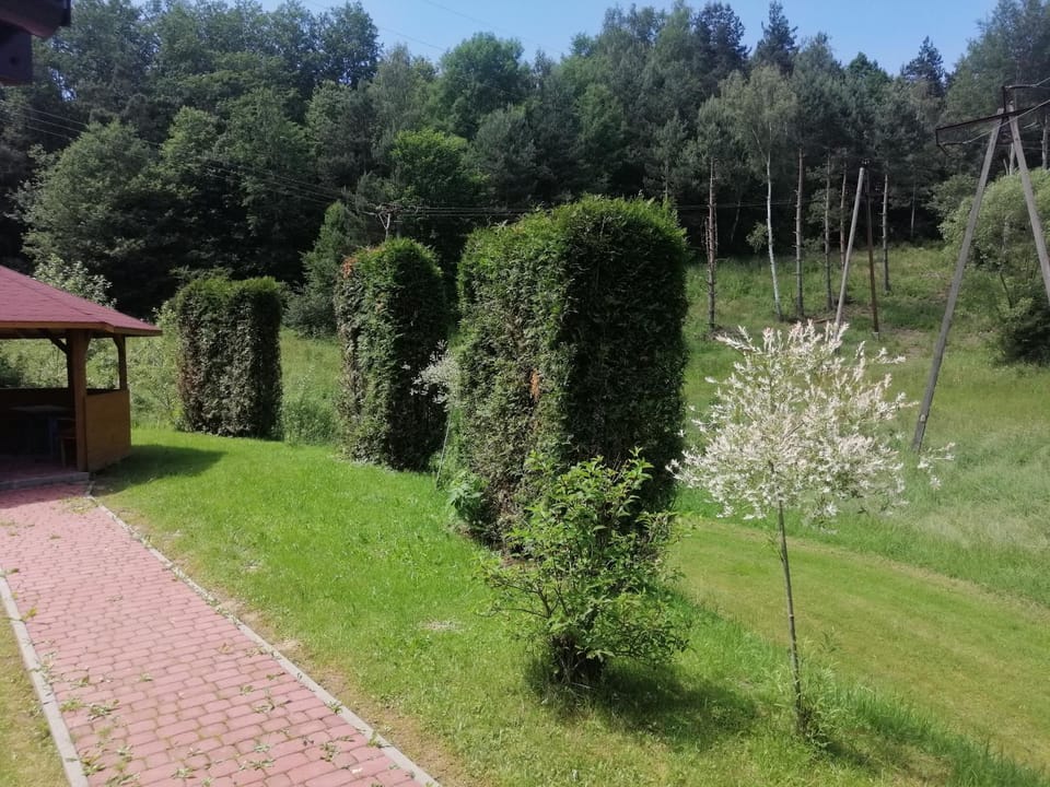 Eko-Wakacje Nature lodge in Slovakia