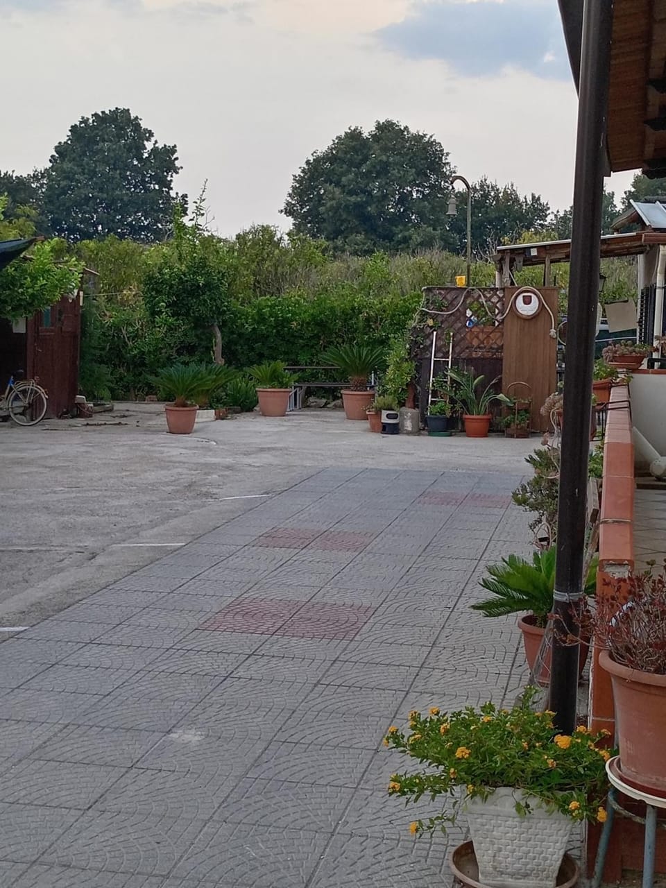 Garden view