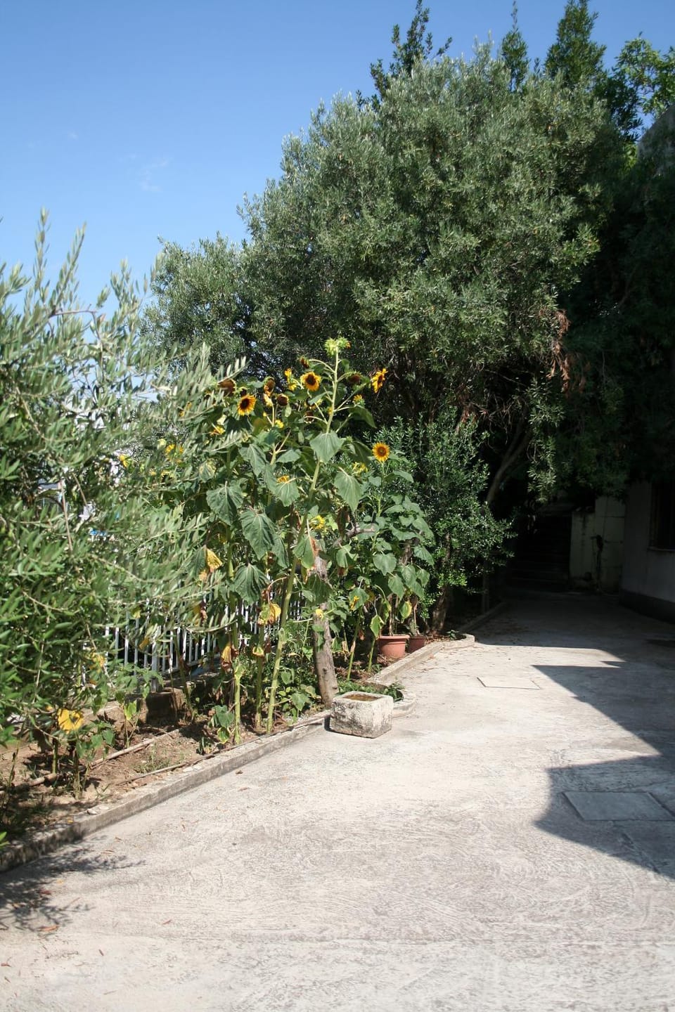 Inner courtyard view