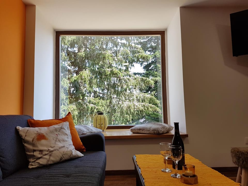Sunshine Dreams Villa Jahorina Villa in Federation of Bosnia and Herzegovina