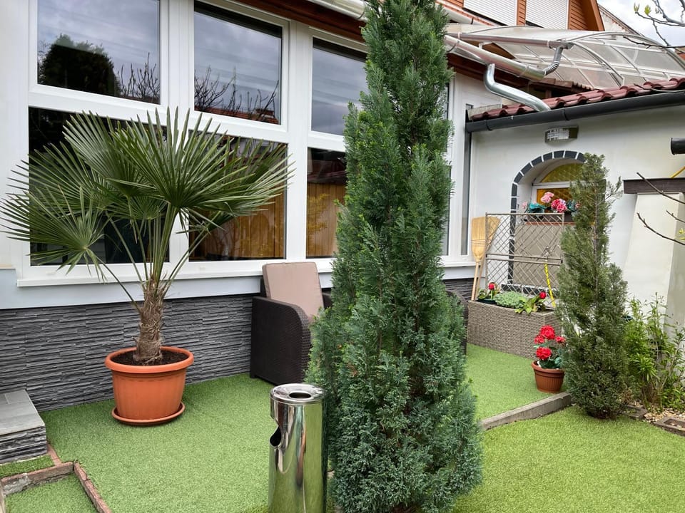 Inner courtyard view