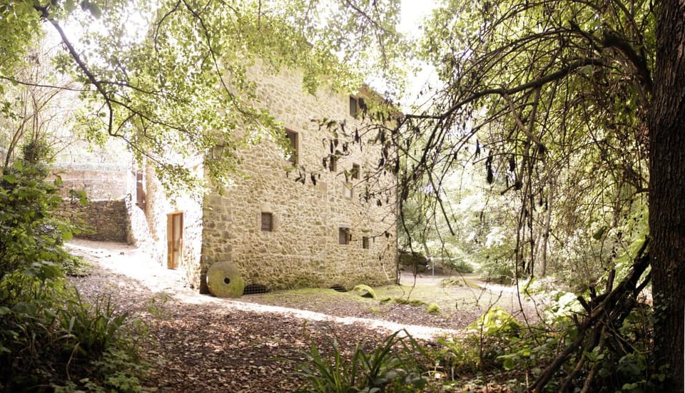 Agriturismo Molino del Ponte Farm Stay in Tuscany