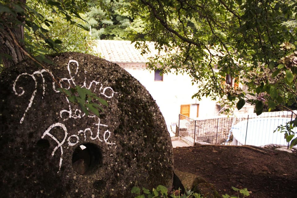 Agriturismo Molino del Ponte Farm Stay in Tuscany