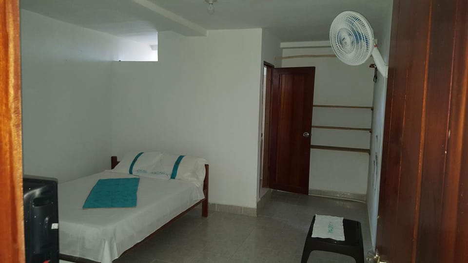 Bed, Photo of the whole room, Decorative detail, fireplace