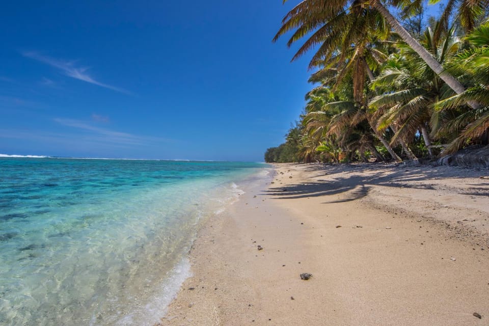 Snorkeling, Snorkeling, Beach, Canoeing, Diving