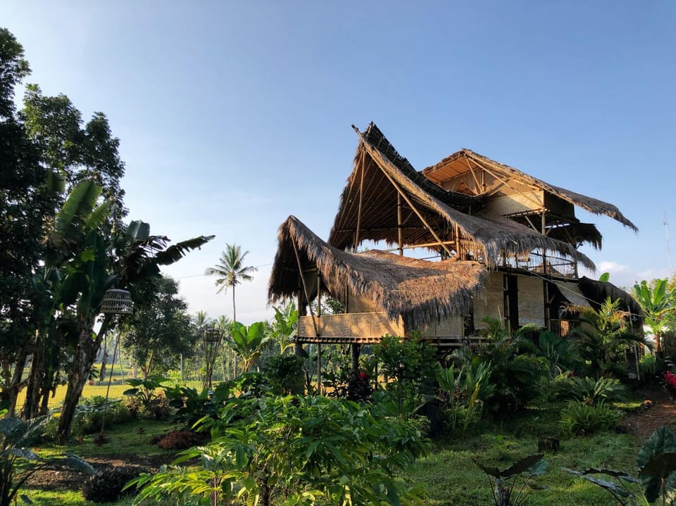 Property building, Garden, Sunrise