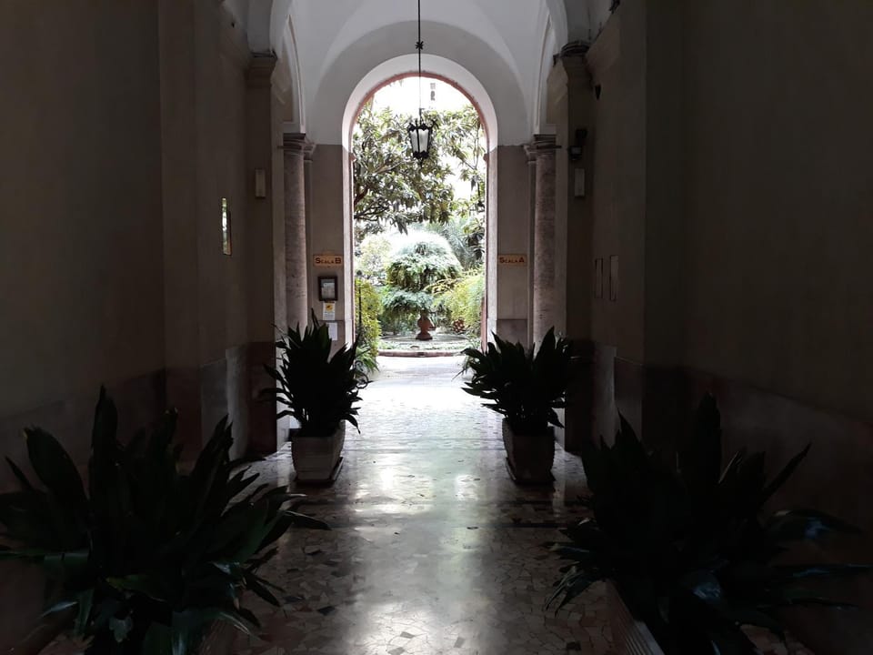 Garden view