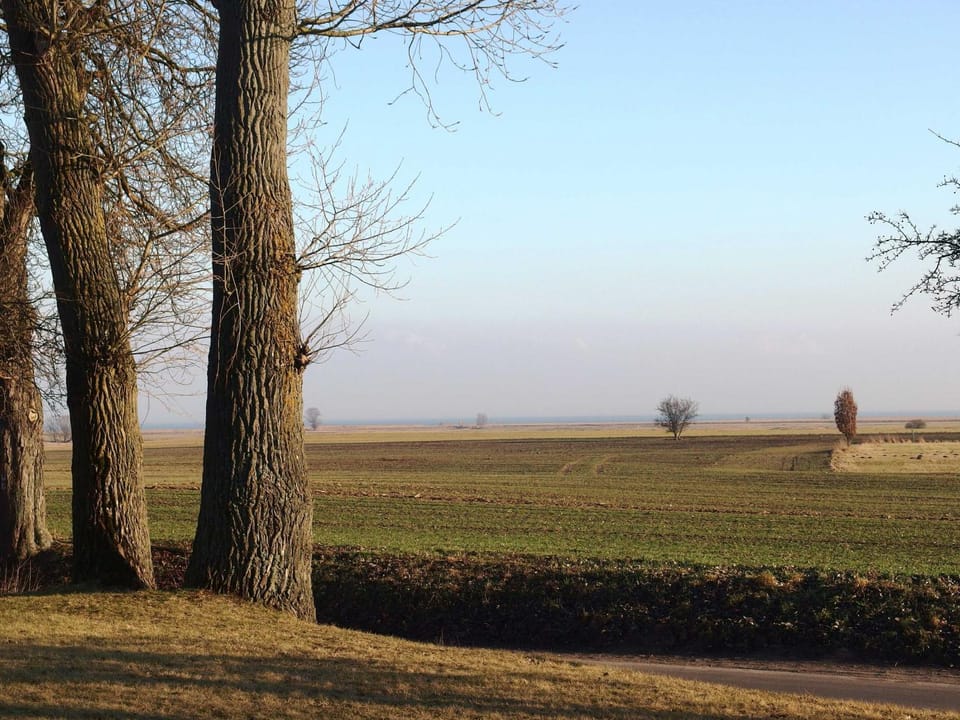 Natural landscape