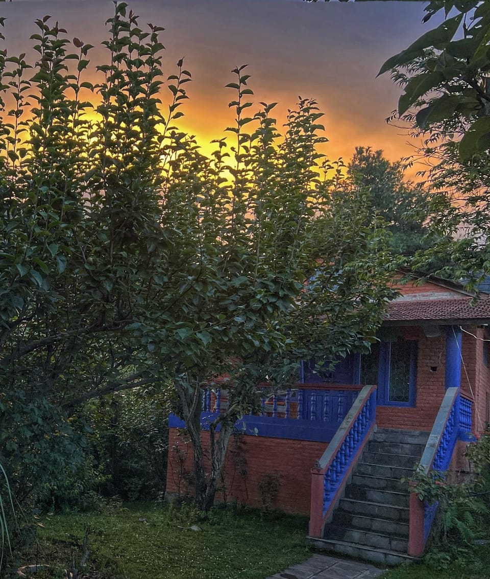 Property building, Garden, Garden view, Sunset