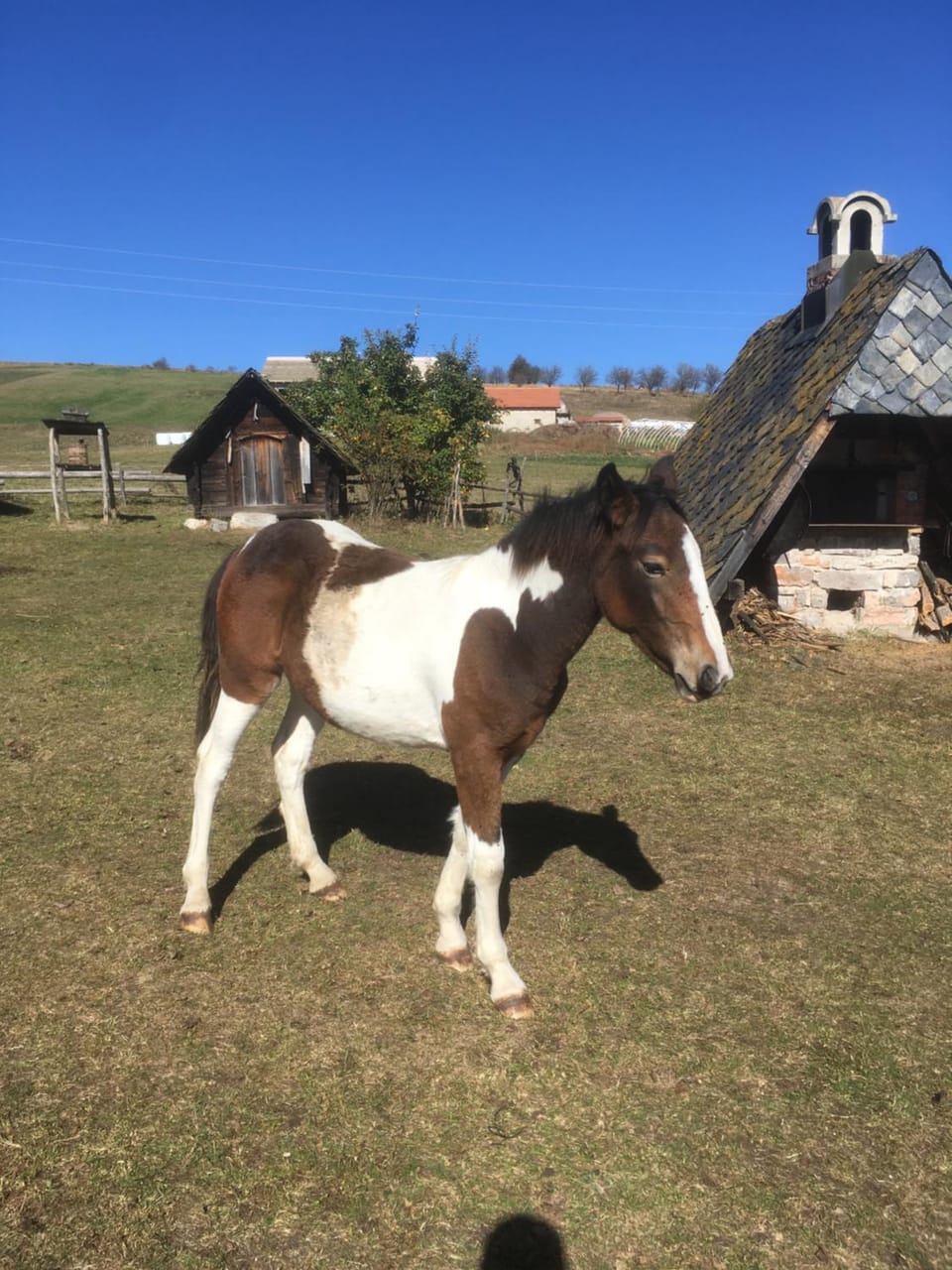 Etno Milikina ravan Farm Stay in Zlatibor District, Serbia