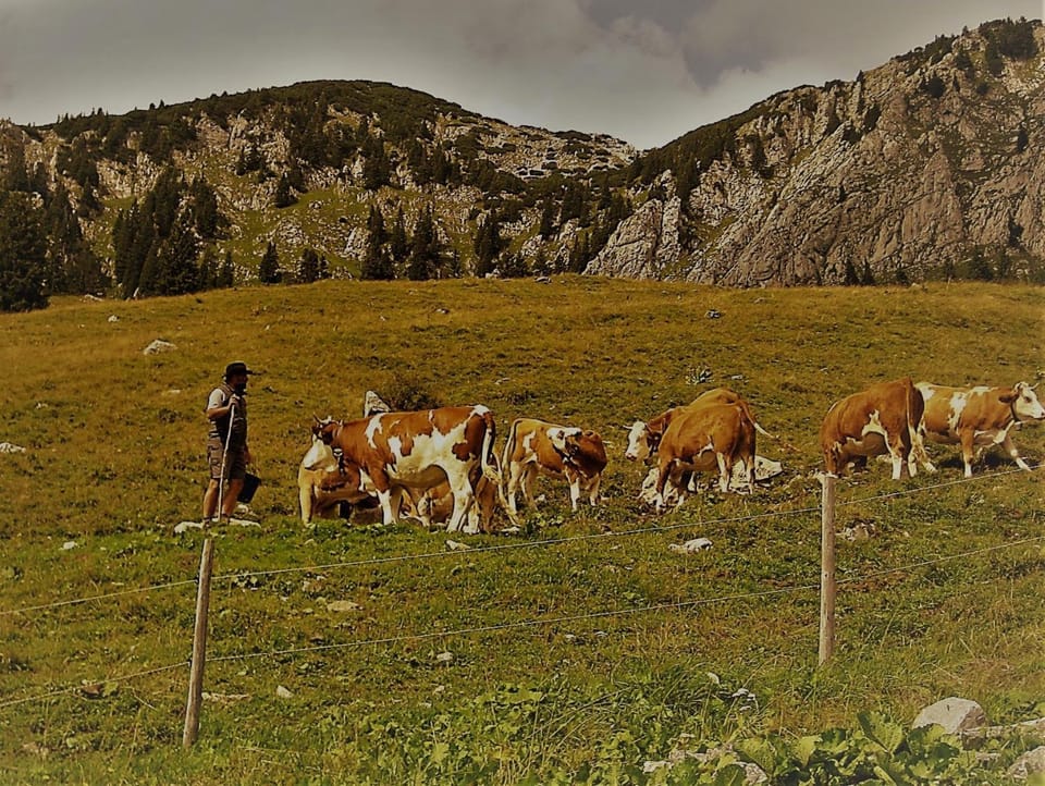 Landhotel zum Staffelwirt Hotel in Tyrol
