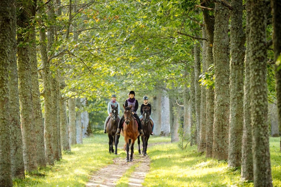 Horse-riding, Pets