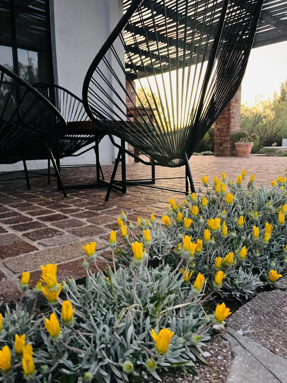 Patio, Garden view
