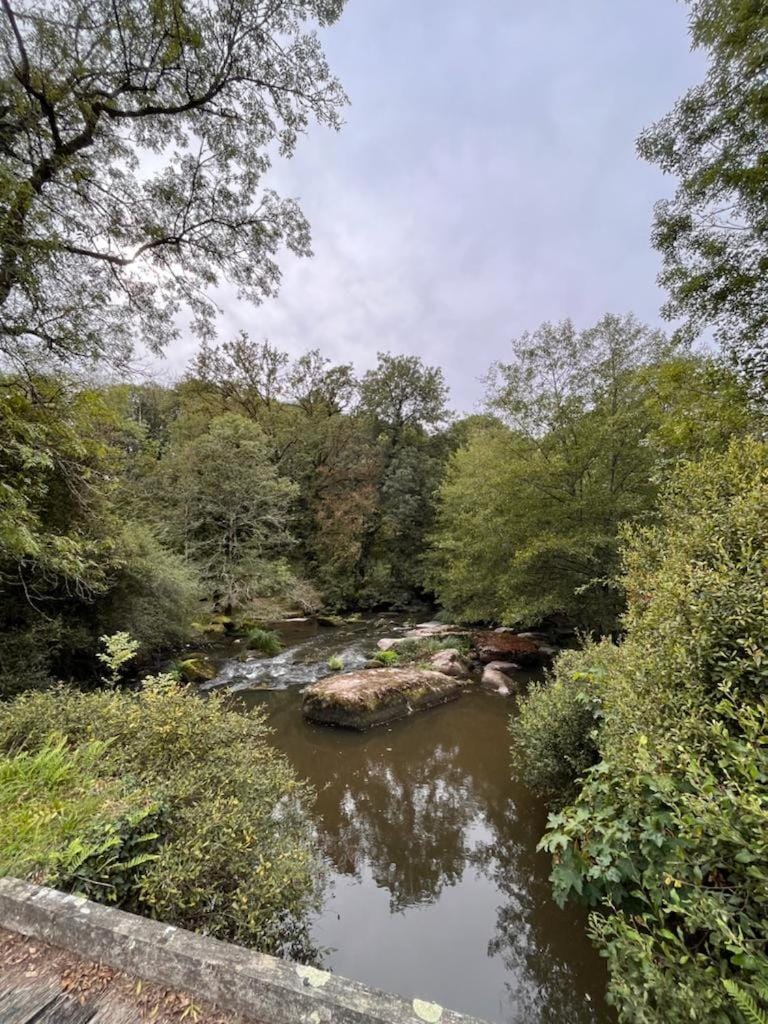 Natural landscape