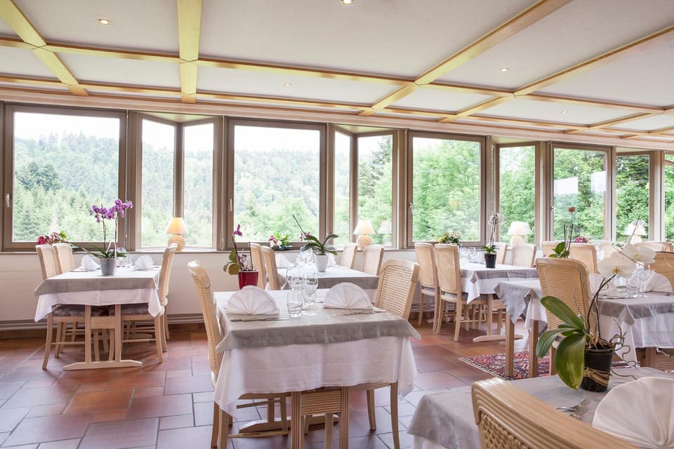 Logis Hôtel Restaurant Neuhauser Hotel in Vosges