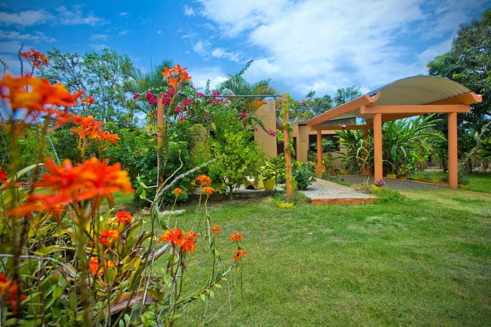 Natural landscape, Garden view