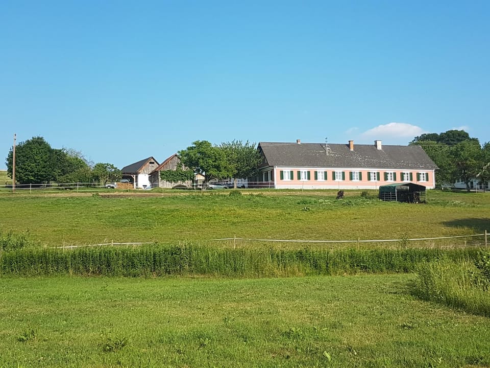 Artemis Farmapartment Apartment in Styria