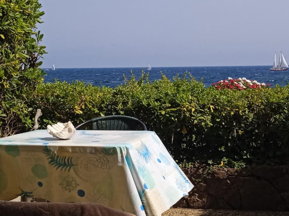 studio pieds dans l'eau Apartment in Saint-Raphael