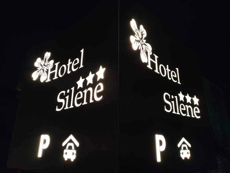 Night, Property logo or sign, Logo/Certificate/Sign, Street view, Parking