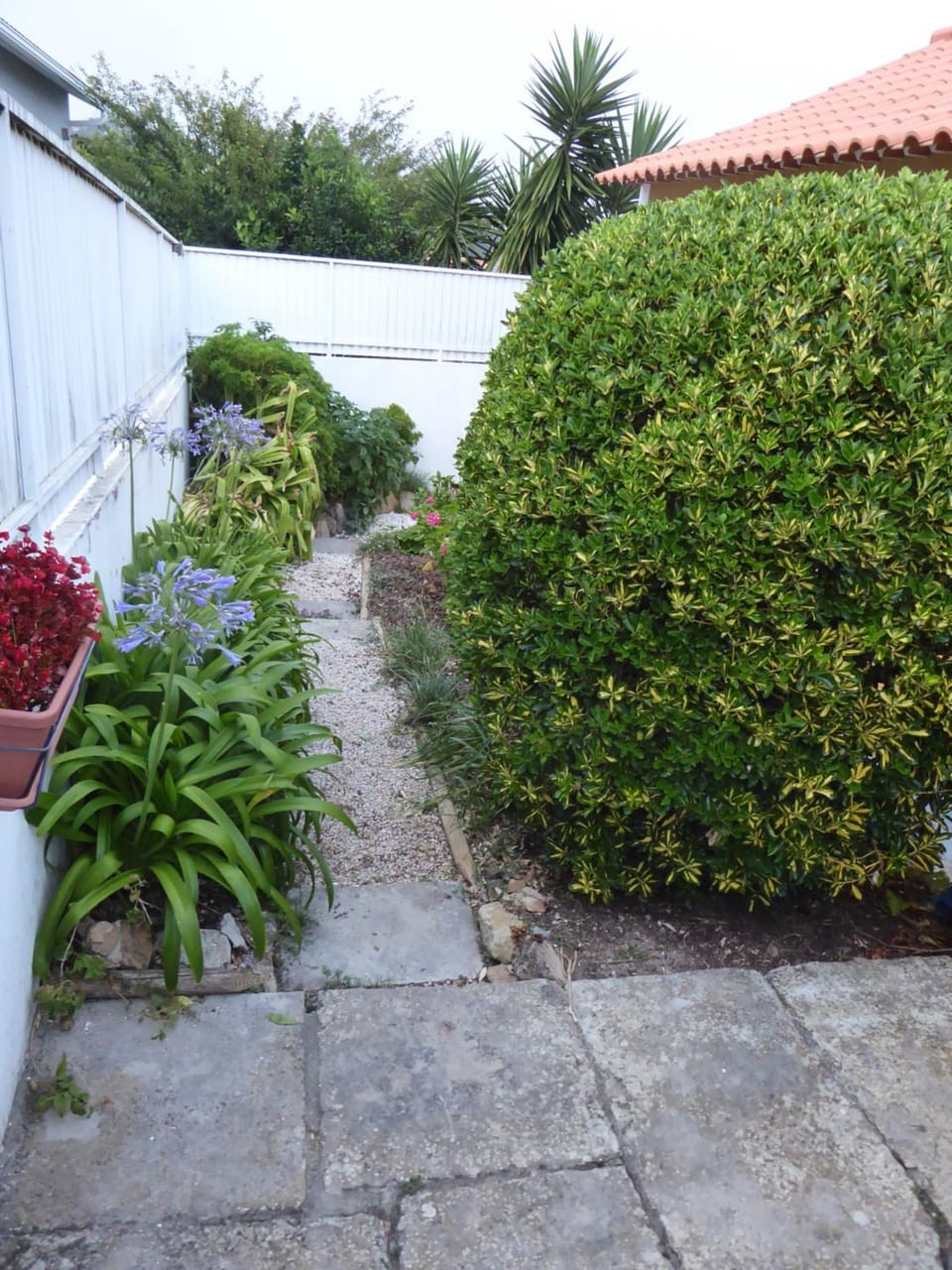 Facade/entrance, Garden