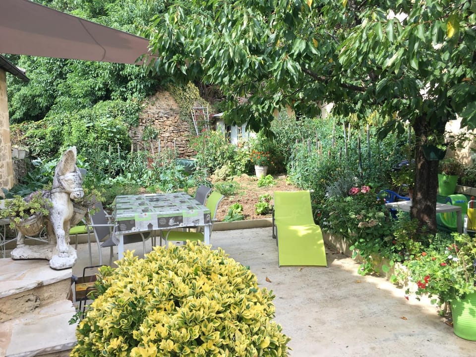 Patio, Garden