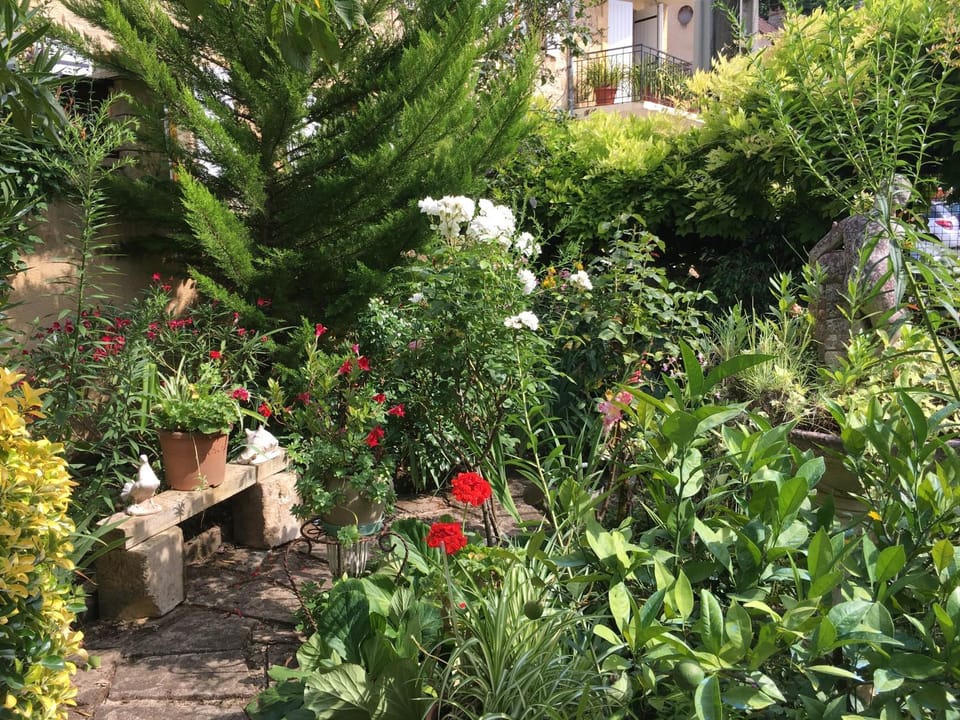 Garden, Garden view