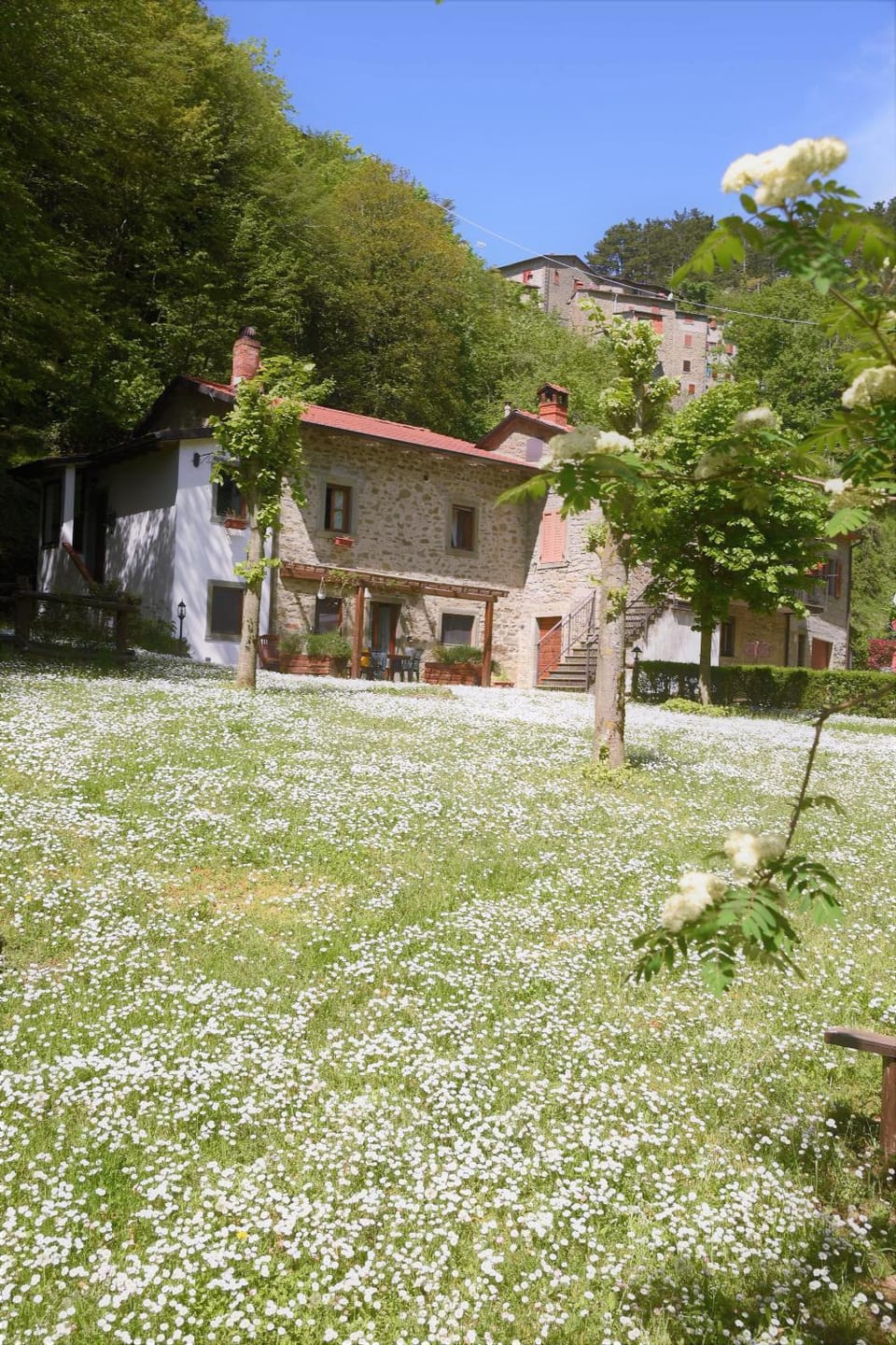 Garden, Garden view