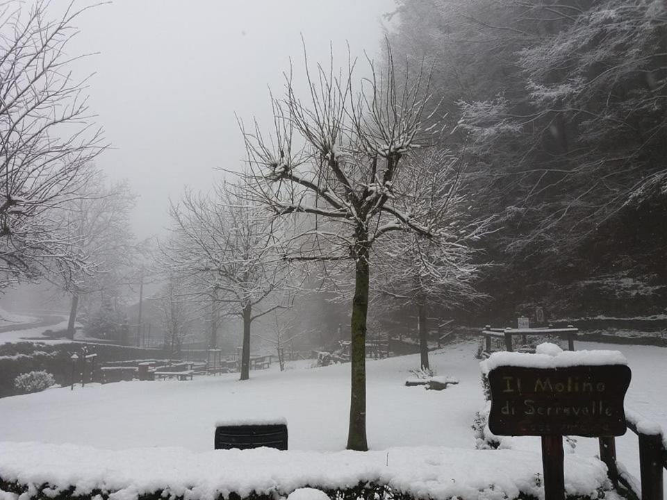 Winter, Garden