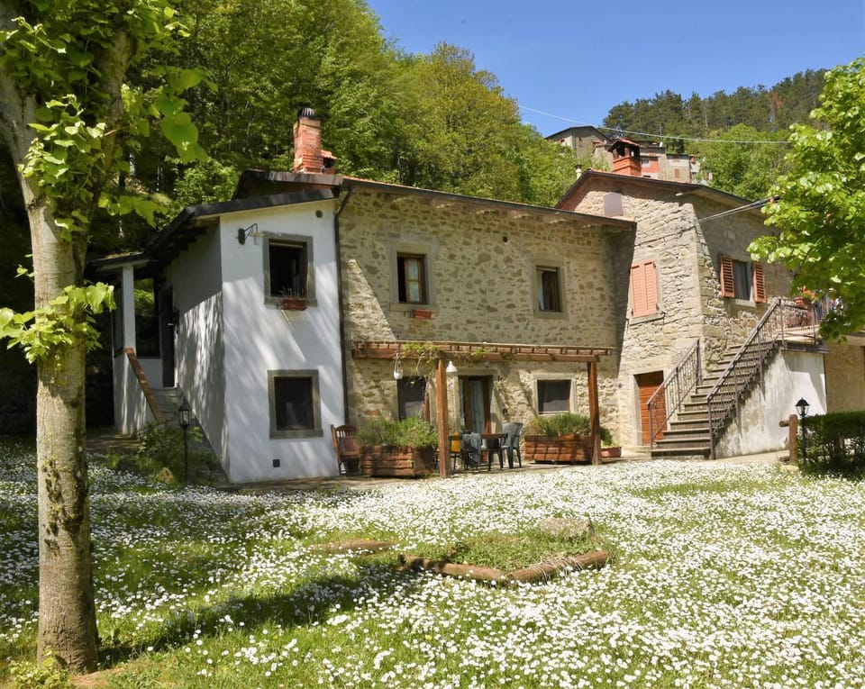 Garden, Garden view