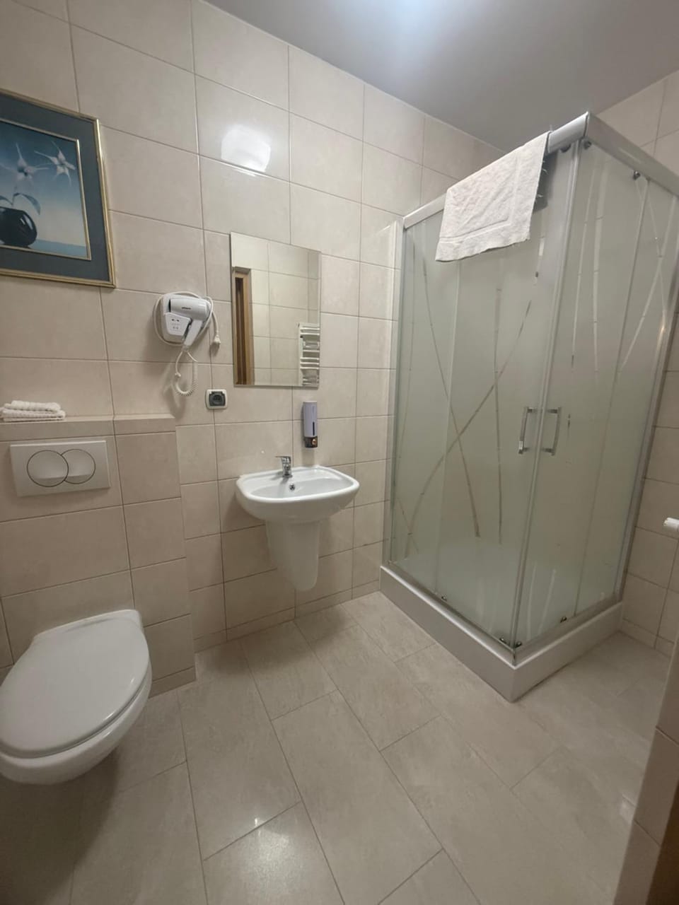 Shower, Toilet, Bathroom, towels